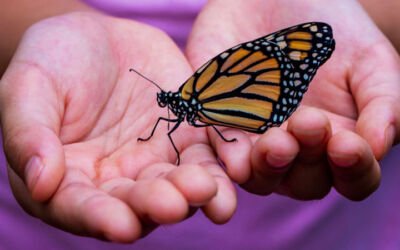 A New Model of Holistic Child Care