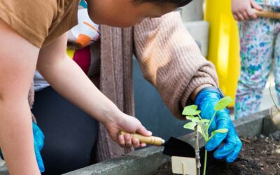 Choosing the Best Kindergarten in SW Calgary: What Parents Should Look For